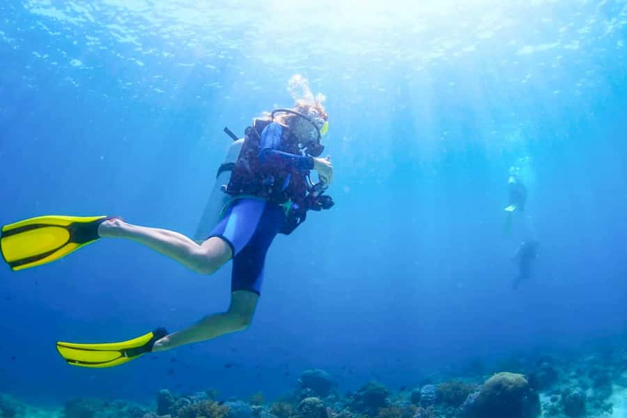 From Dubai: Fujairah Scuba Dive and Snorkeling - Getting Kitted Out: Gear, Certification Checks, and Your Briefing