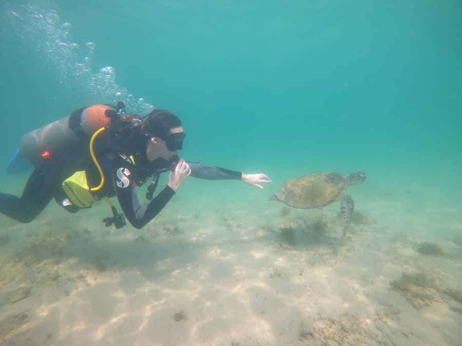 From Dubai: Fujairah Scuba Dive and Snorkeling - Snorkeling Time and Boat Comfort That Actually Helps