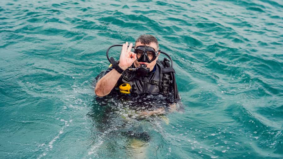 From Dubai: Fujairah Scuba Dive and Snorkeling - Price and Value: Is $157 Reasonable?