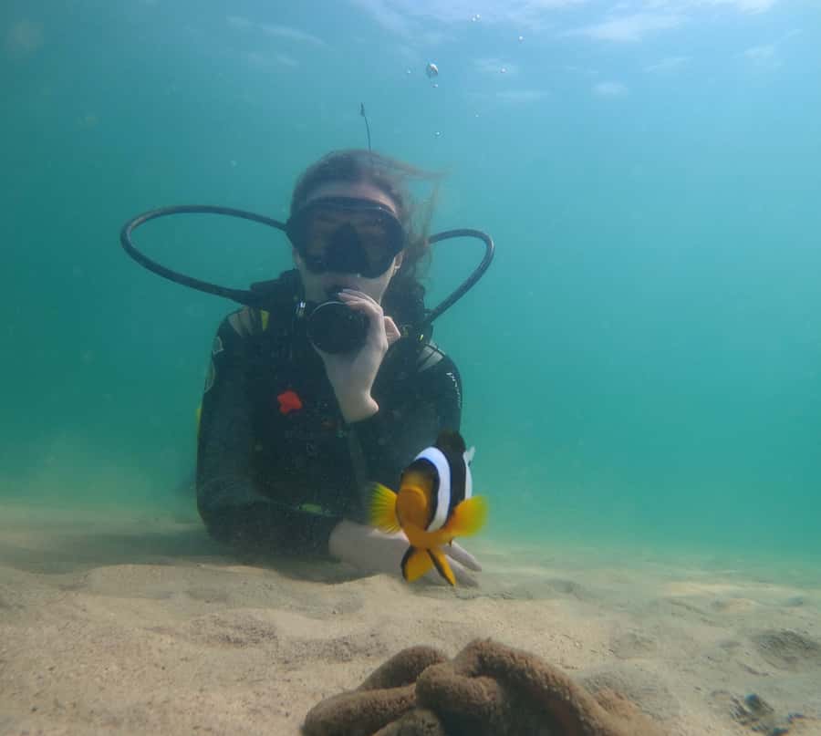 From Dubai: Fujairah Scuba Dive and Snorkeling - Who Should Book, and Who Should Skip
