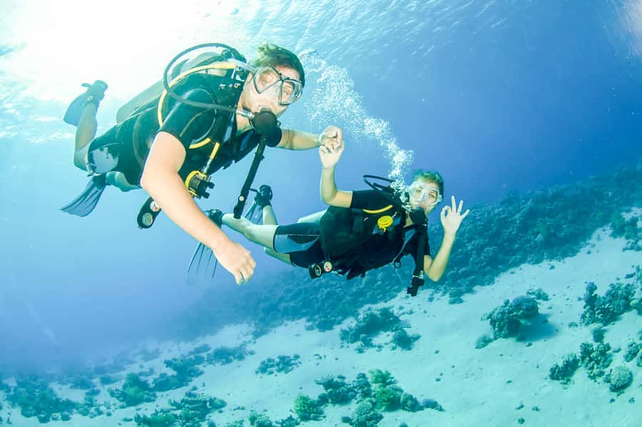 From Dubai: Fujairah Scuba Dive and Snorkeling - The 8-Hour Plan From Dubai, and What It Means for Your Day