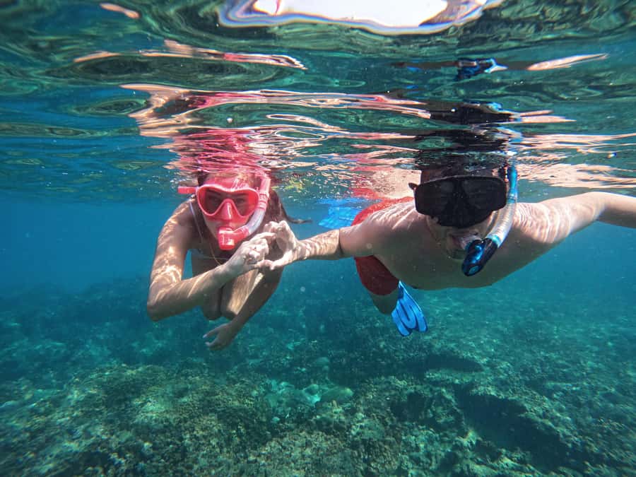 From Dubai: Fujairah Snorkeling with Turtles, Transfer & BBQ - Snoopy Island and Sharm Rocks, and what you are likely to see