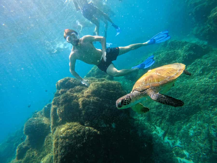 From Dubai: Fujairah Snorkeling with Turtles, Transfer & BBQ - Beginner friendly snorkeling, with real safety support
