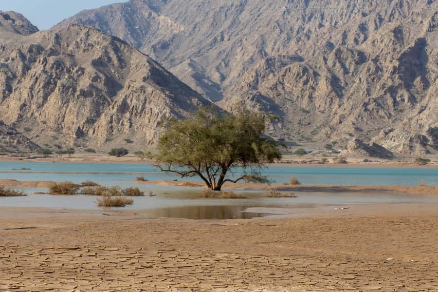 From Dubai: Jabel Jais High Mountain Tour with Transfers - Should You Book This Jabel Jais High Mountain Tour From Dubai?