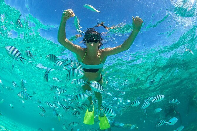 From Dubai: Snorkeling trip in Fujairah - Key highlights you’ll feel right away