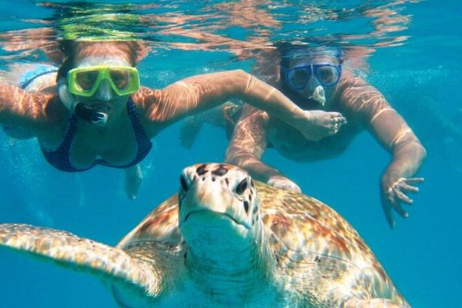 From Dubai: Snorkeling trip in Fujairah - Fujairah in a single day, starting from Dubai