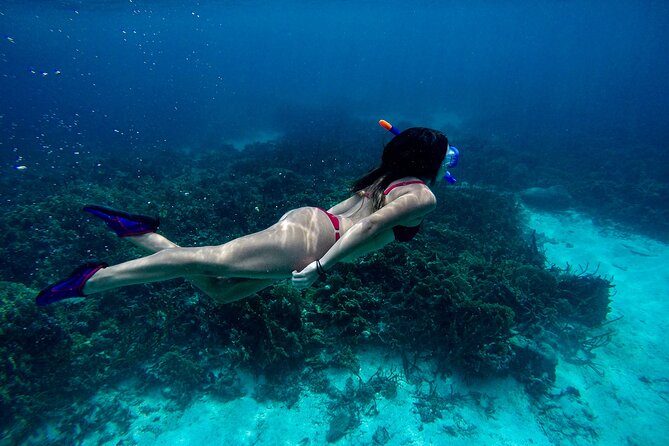 From Dubai: Snorkeling trip in Fujairah - Gear, safety focus, and post-snorkel comfort