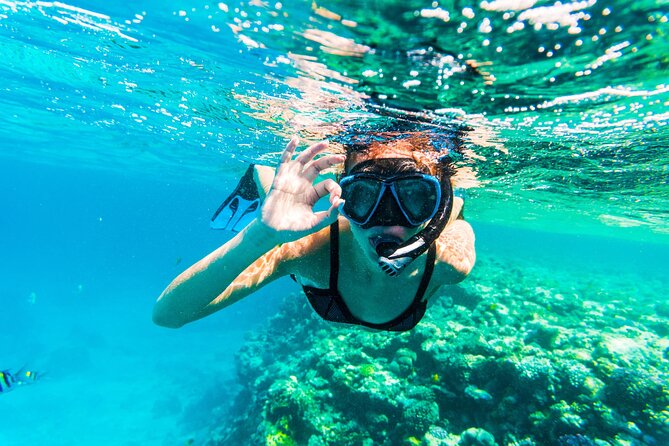 From Dubai: Snorkeling trip in Fujairah - Who this Fujairah snorkeling day trip fits best