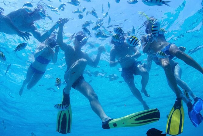 From Dubai: Snorkeling trip in Fujairah - Practical tips to get the most from your day