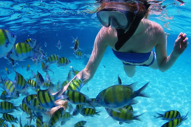 From Dubai: Snorkeling trip in Fujairah - The double-decker boat ride and offshore island setup
