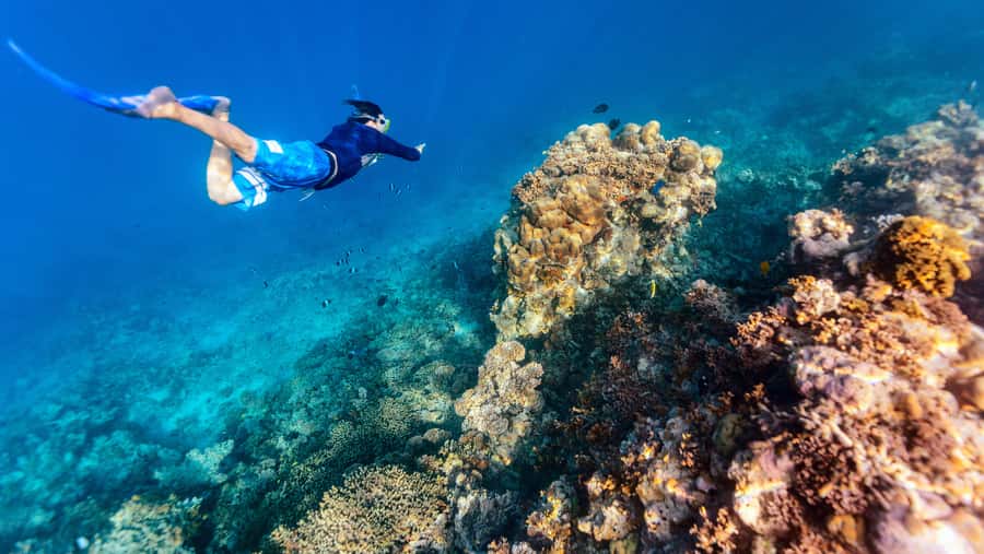 From Dubai: Snorkeling Trip to Dibba Al-Fujairah - A long morning ride to Dibba Al-Fujairah, and why it’s worth it