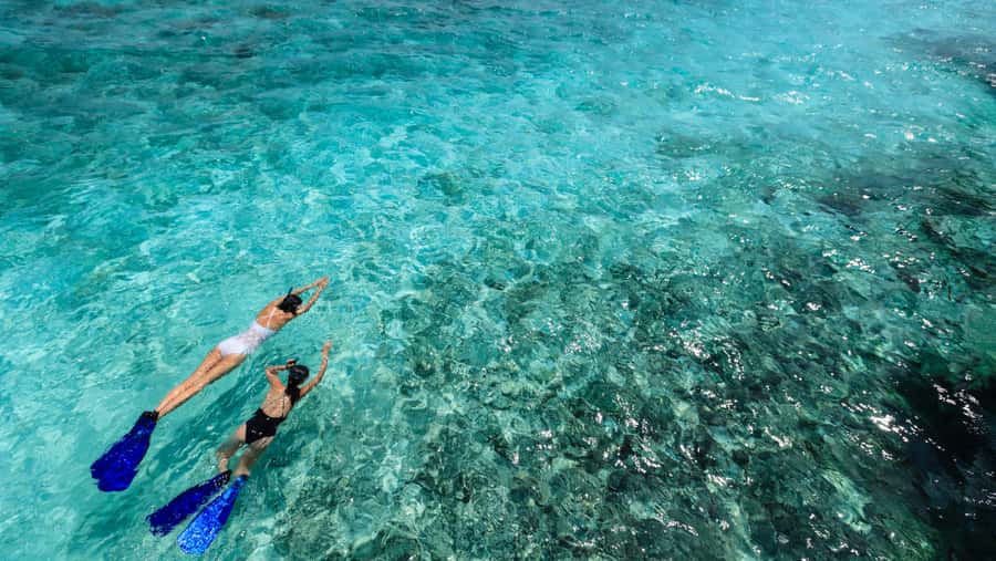 From Dubai: Snorkeling Trip to Dibba Al-Fujairah - The watch-outs: transport comfort, long drives, and medical limits