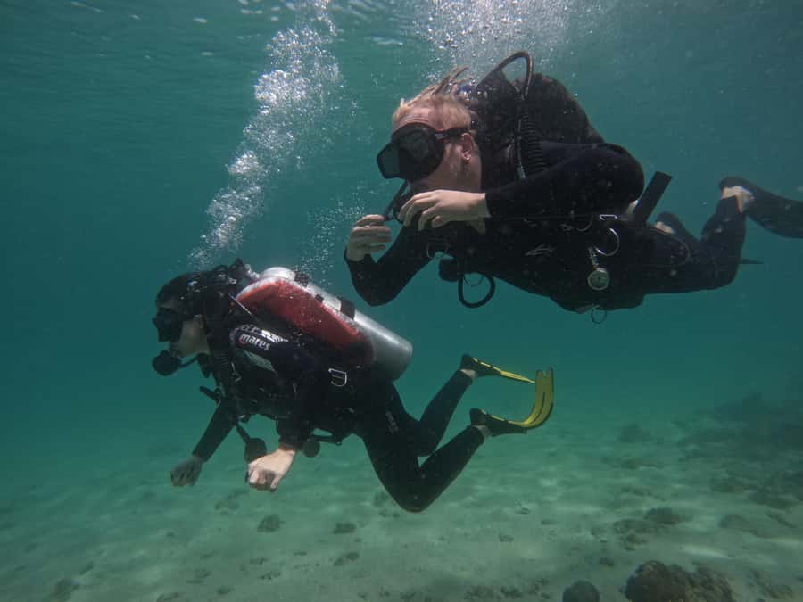 From Dubai: Try Scuba Diving, Snorkeling with BBQ & Transfer - The Beginner Scuba Skills Moment: Calm Coaching Makes or Breaks It