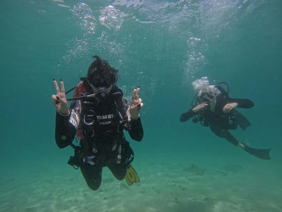 From Dubai: Try Scuba Diving, Snorkeling with BBQ & Transfer - Underwater Photos and the Turtle Odds