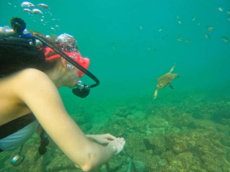 From Dubai: Try Scuba Diving, Snorkeling with BBQ & Transfer - What to Bring and What to Skip (So You Do Not Waste Time)