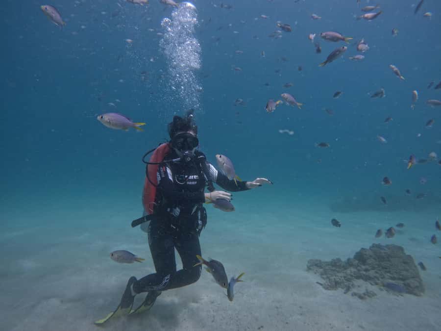 From Dubai: Try Scuba Diving, Snorkeling with BBQ & Transfer - From Dubai to Fujairah: Early Pickup and a Long, Scenic Ride