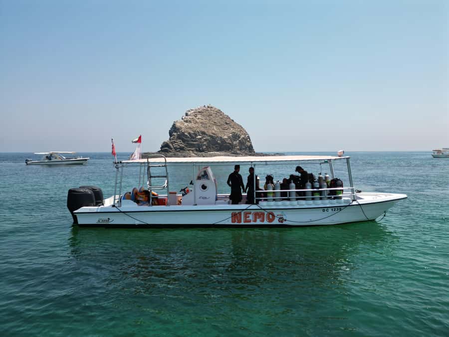 Fujairah: 2 Fun Dive Experience for Certified Divers - Key things I’d focus on before you book