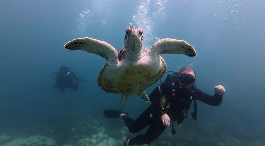 Fujairah: 2 Fun Dive Experience for Certified Divers - Fujairah From Dubai: what the 4 hours really feel like