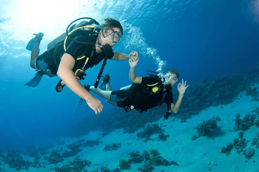 Fujairah: 2 Fun Dive Experience for Certified Divers - Dibba Rock and Inchcape 1: the underwater stops you’ll want to picture