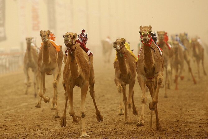 Full Day Al Ain tour with Lunch from Dubai - Al Jahili Fort: One of the UAE’s Largest Forts, With Admission Included