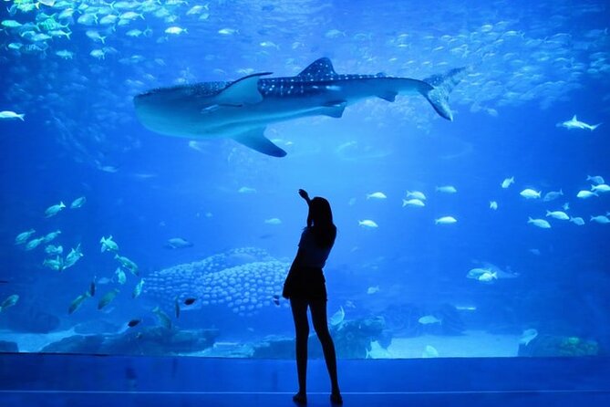 Full Day Explore Old Heritage & Modern Dubai City Tour - Burj Al Arab from outside: iconic views with no entry ticket