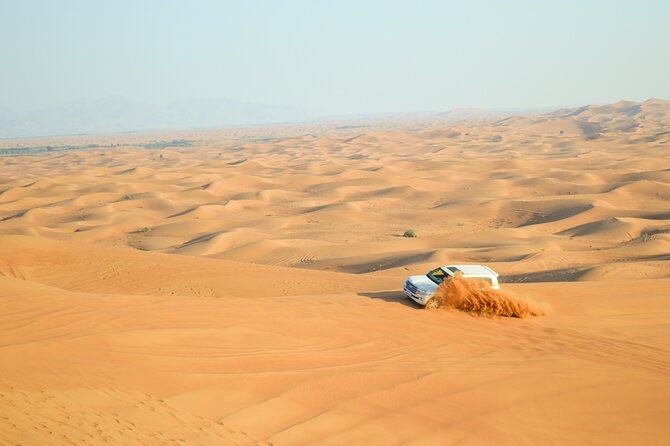 Full-Day Guided Red Dunes Desert Tour in Dubai with Camel Ride - Key highlights to look forward to