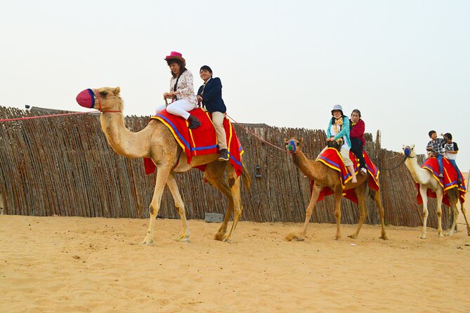 Full-Day Guided Red Dunes Desert Tour in Dubai with Camel Ride - Desert logistics that matter: timing, phones, and group size