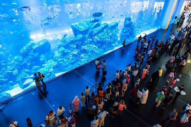 Full-Day Private Tour in Dubai - Why a private one-day circuit makes Dubai easier