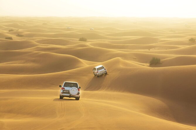 Full-Day Small-Group Red Desert Safari with BBQ Dinner in Dubai - Desert camp comfort: tea, camel photos, washrooms, and a real breather
