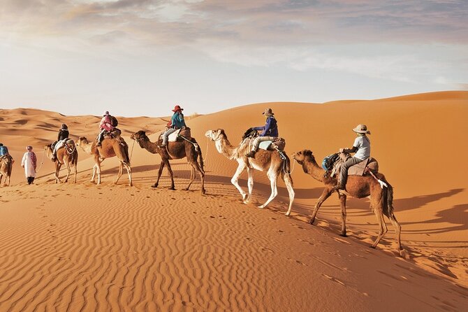 Full-Day Small-Group Red Desert Safari with BBQ Dinner in Dubai - Belly dance, fire dance, and tanura: the cultural show lineup
