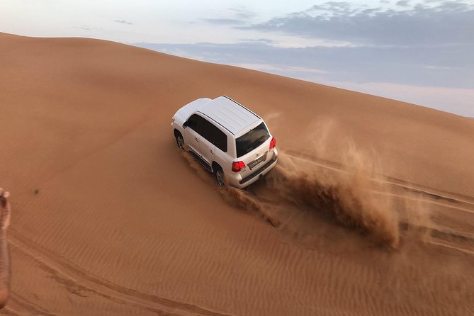 Half-Day Evening Desert Safari in Dubai with BBQ Dinner - Camel Farm Stop and the Sunset Window You Want