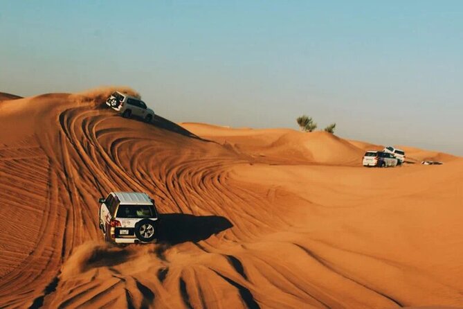 Half-Day Private Morning Desert Safari by 4x4 Car - Morning Start: 8:00 am Pickup and Back-by-Noon Timing