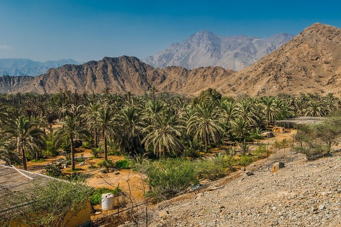 Hatta Mountain Adventure Tour - Who This Tour Suits Best (And Who Might Want Something Else)