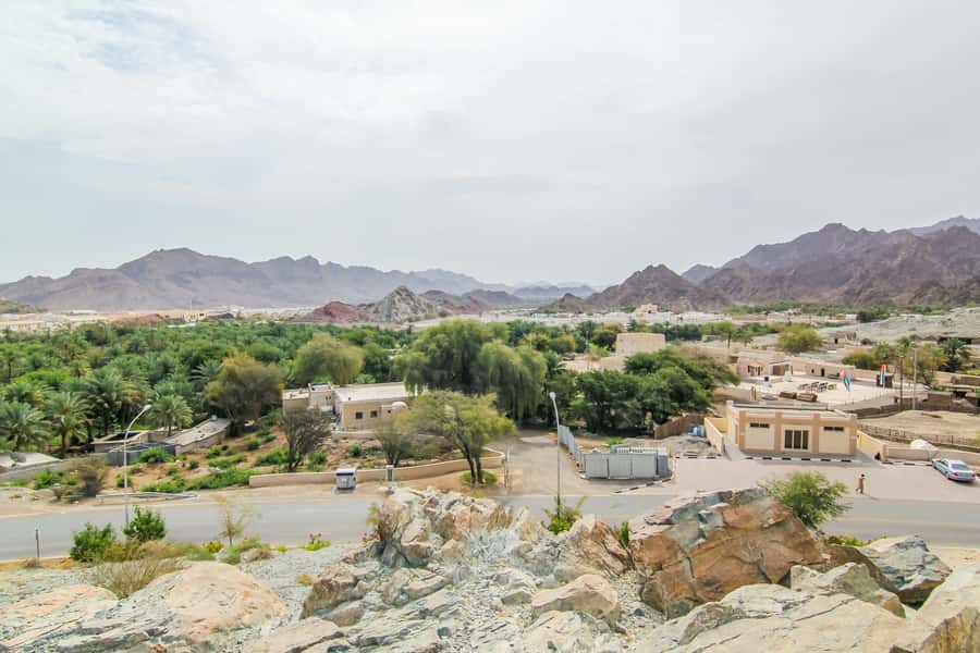 Hatta Safari & Honey Bee Garden Visit - Price and value: why $93 can make sense here