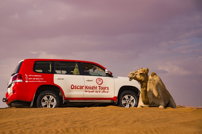 High Red Dunes with Camel Ride, Sandboarding, Falcon Show and VIP BBQ Dinner - Quad bike upgrade: worth it or easy to skip?