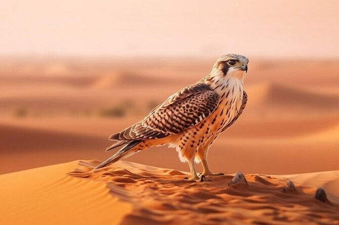 Hot Air Balloon Dubai Exotic Sunrise With Buffet Breakfast - Up to 60 Minutes in the Air: What the Balloon Ride Feels Like