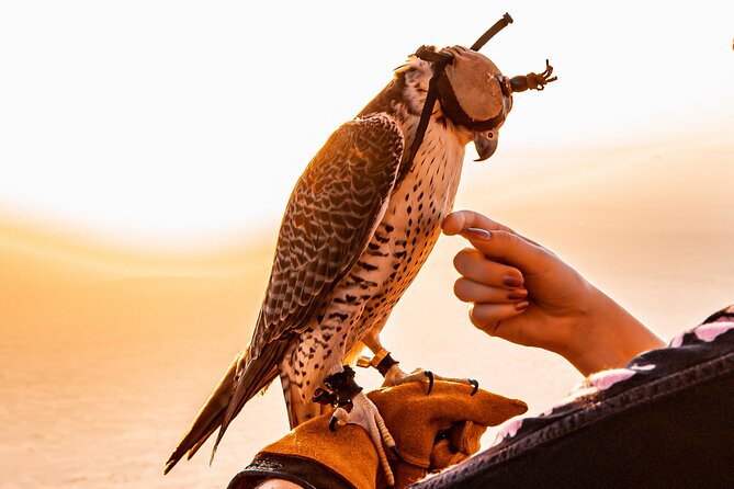 Hot Air Balloon Ride & In-flight Falcon Show including Transfers - Landing matters more than you think
