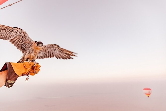 Hot Air Balloon Ride & In-flight Falcon Show including Transfers - Group size and vibe: max 24 keeps it human