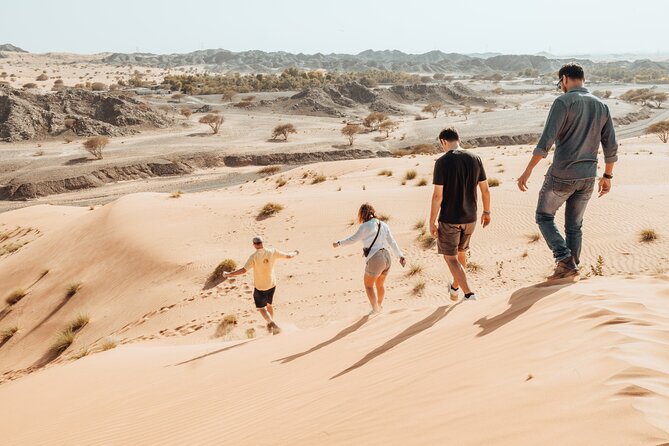 Journey to the Heart of the Emirates - Key things that make this tour click