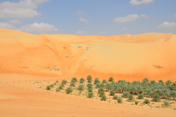 Liwa Full Day Desert Safari (exploring) - Key things to know before you go