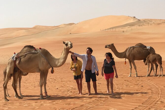 Liwa Full Day Desert Safari (exploring) - Bateen Liwa dune drive: the part that makes memories