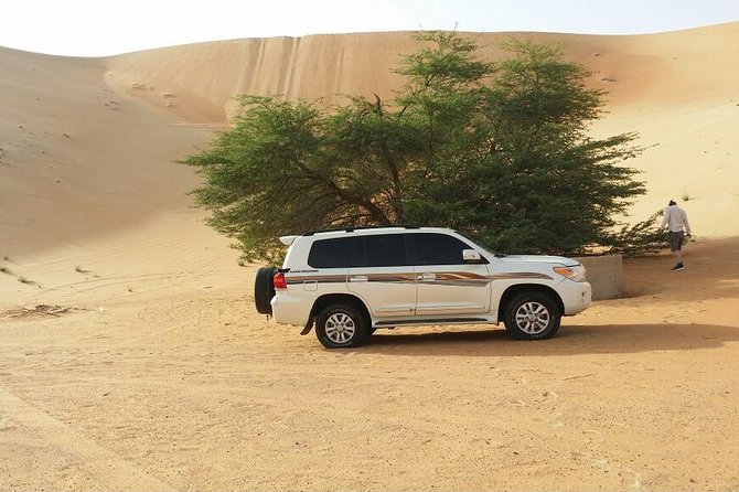 Liwa Full Day Desert Safari from Abu Dhabi - Key Highlights Worth Caring About