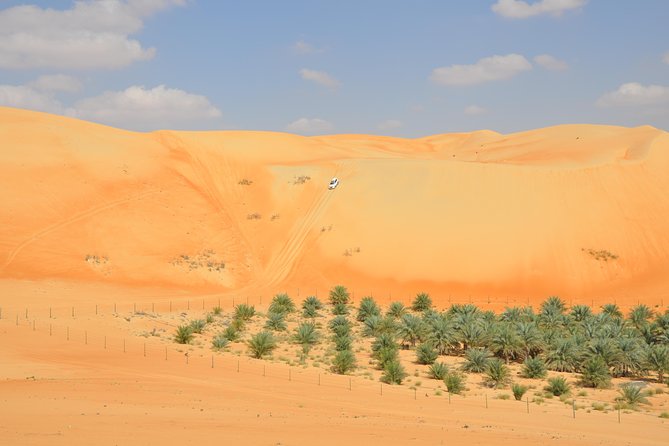 Liwa Full Day Desert Safari from Abu Dhabi - Private Pickup, Timing, and the Real Meaning of a Long Drive