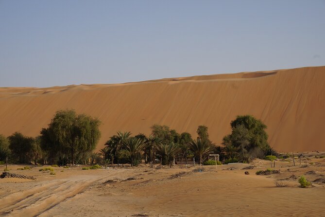Liwa Full Day Desert Safari from Abu Dhabi - Liwa Fort and Castle Visits: Getting a Sense of Place