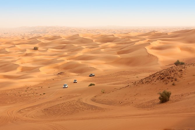 Liwa Full Day Desert Safari from Abu Dhabi - The 4x4 Dune Bashing Part: Thrills, Control, and Safety Mindset
