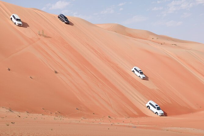 Liwa Oasis Desert Drive from Abu Dhabi - Key things to know before you go