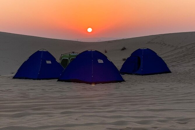 Liwa Over Night Safari - Key Things That Make This Overnight Liwa Safari Worth It