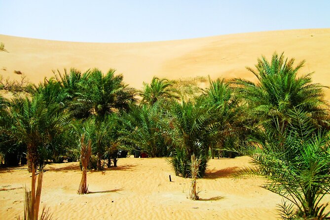 Liwa Over Night Safari - Guides Make the Difference: Nadeer, Zahoor, Riaz, and the Rest of the Crew