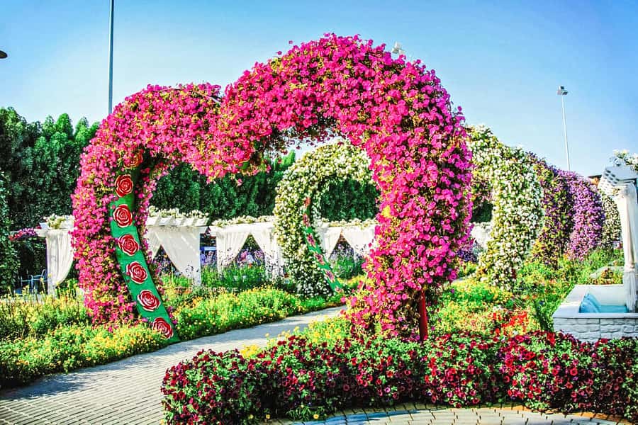 Miracle Flora & Fauna Marvels at Miracle Garden - Key points to know before you go