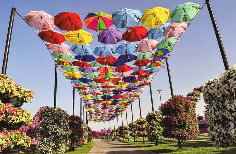 Miracle Flora & Fauna Marvels at Miracle Garden - Miracle Garden and Butterfly Garden in 4 Hours: What This Half-Day Trip Really Feels Like